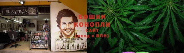 молекула духа Навашино