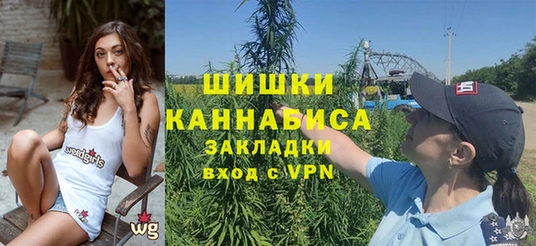 молекула духа Навашино